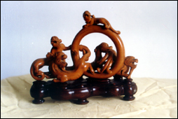 ����ľ���������񻷡� 