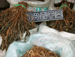 �����ز�:�ڸɲ�