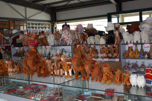 ��ɳ����ɫ����ָ��