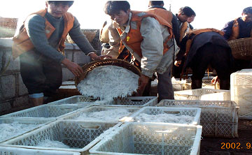 �ĺ��ƶ�����