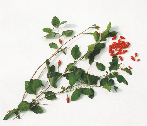 �������ز������