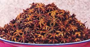 ��������ز�