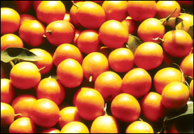 �� �� �� ��