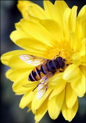 �����ͻ���ܰС��ʾ