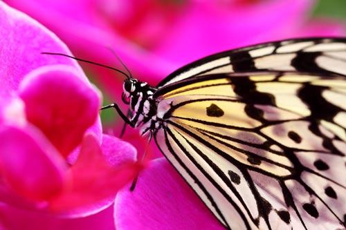 ΢������