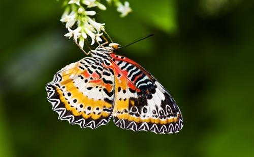 ��׽��Ȼ֮��