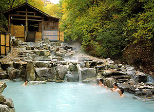 ��Ȫ�ݵö��շ�����Ƥ���� ��ѡ�����ʽ϶�Ȫˮ