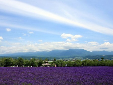 �ձ���������޹�²�֮��