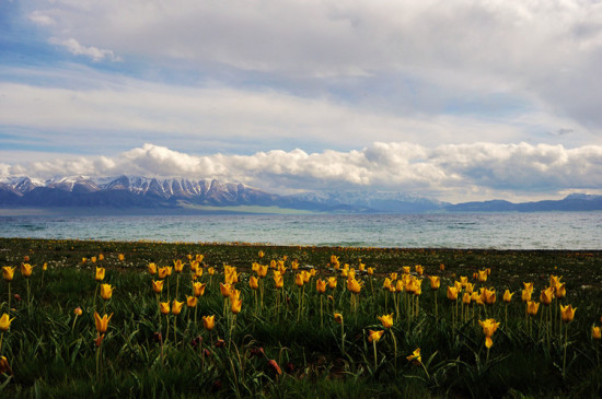 �����½���һ��������ɽ����������-��������