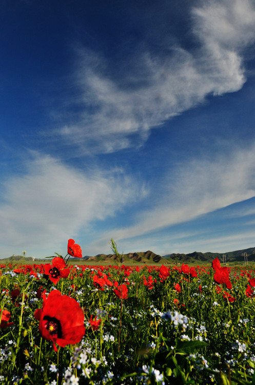 �����½���һ��������ɽ����������-��������