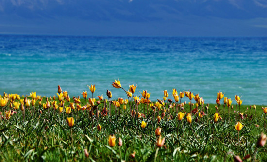 �����½���һ��������ɽ����������-��������