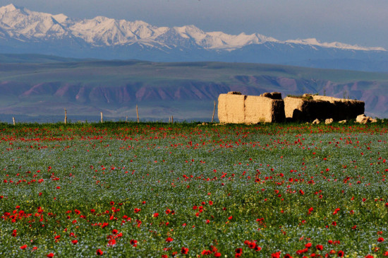 �����½���һ��������ɽ����������-��������