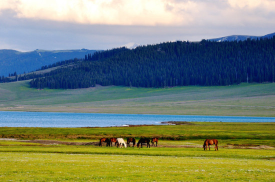 �����½���һ��������ɽ����������-��������