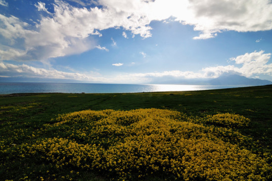 �����½���һ��������ɽ����������-��������