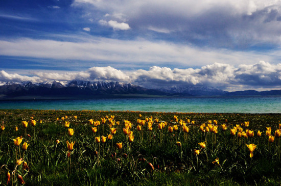 �����½���һ��������ɽ����������-��������