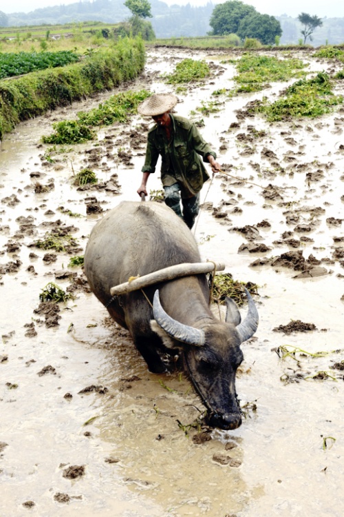 �������-��Ȼ�羰