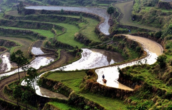 �������-��Ȼ�羰