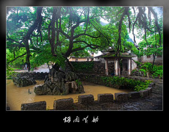 �����Ҧ-������Ӱ