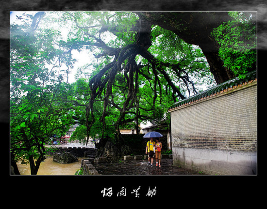 �����Ҧ-������Ӱ