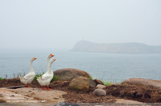 �����е�-���쵺������β-��Ȼ�羰