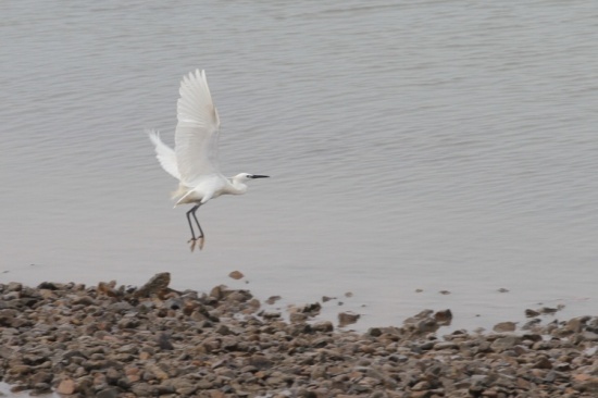 ϼ��̲Ϳ-��Ȼ�羰