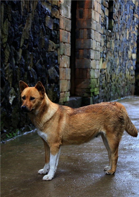 �Ͱ�<span class=lxw>[ע: ��� ���28��(1939)6�£���������֮˫�塢��塢���ݡ����š����е�5��(��ԭ������֮28����29��)��������֮�̷塢���������3��(��ԭТ����֮45����46����47��)��]</span>��ͷ��-��Ȼ�羰