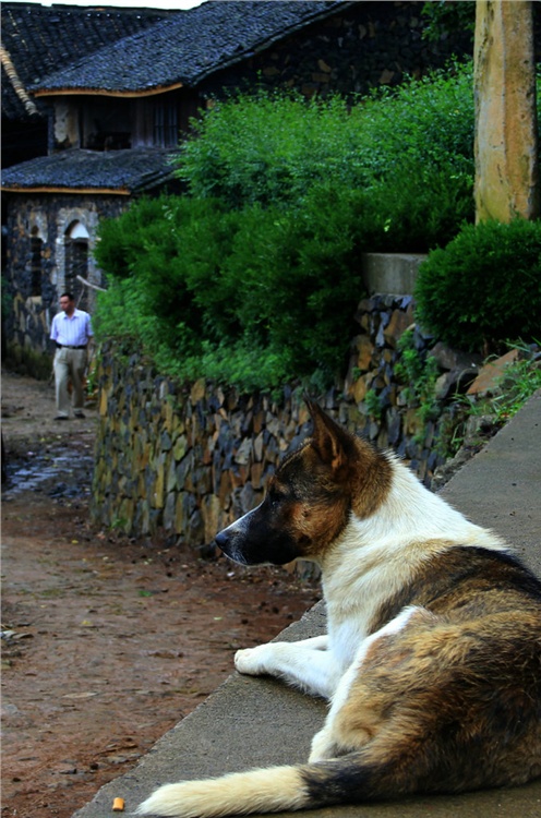 �Ͱ���ͷ��-��Ȼ�羰