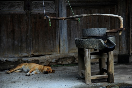 �Ͱ���ͷ��-��Ȼ�羰