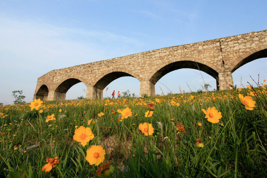 ɽ������-ֲ�ﻨ��