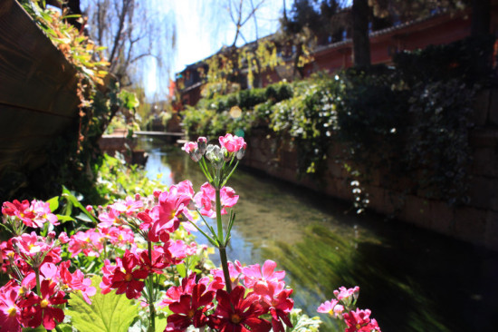 ����֮��-���ϵ���