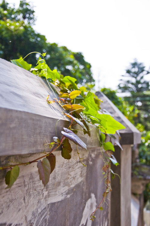 �ڹ�����<span class=lxw>[ע: ������-������λ�ڸ���ʡ���������ϣ������Ÿ�����������1000��֮ң��������һ�пվ�ʯ�������Ĵ�������ģ������������족��]</span>��·������-������Ӱ