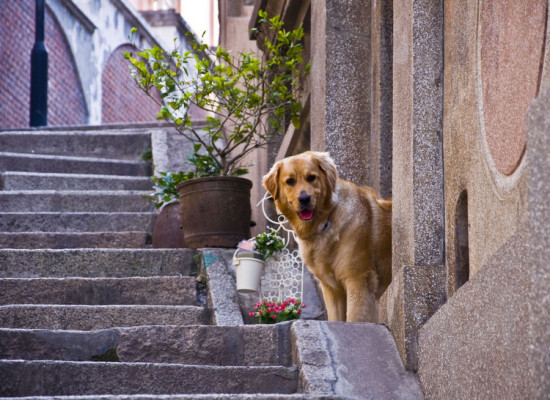 �ڹ�������·������-������Ӱ