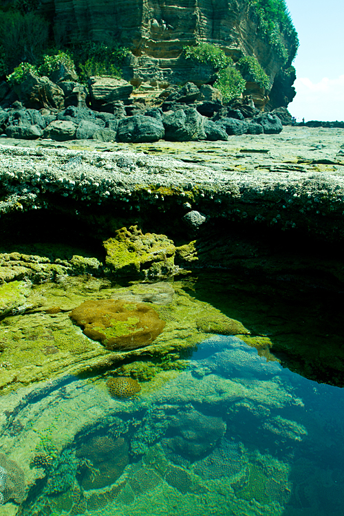 ��޵�ɢƬ-��Ȼ�羰