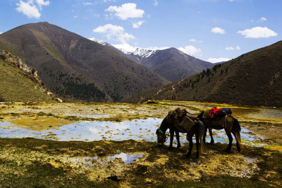 ����<span class=lxw>[ע: ������һ�������������ʷ�Ļ�����һ������ɽ�����������ĺ���һ�����ǧ�ž��������������ˡ����β��������ݾ��á����Ρ��Ļ������ġ�]</span> Ȫ��̲-���ϵ���