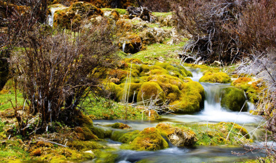 ���� Ȫ��̲-���ϵ���