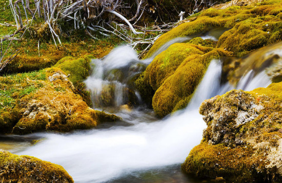 ���� Ȫ��̲-���ϵ���