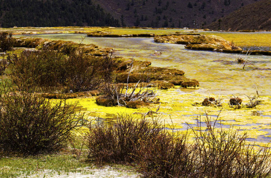 ���� Ȫ��̲-���ϵ���