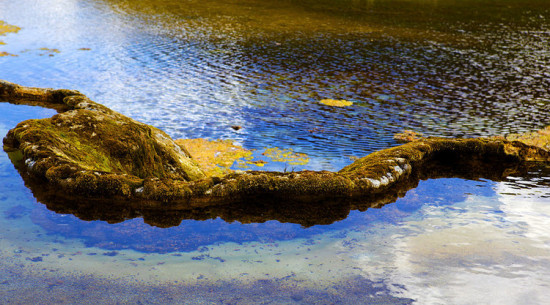 ���� Ȫ��̲-���ϵ���