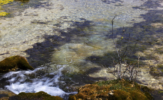 ���� Ȫ��̲-���ϵ���