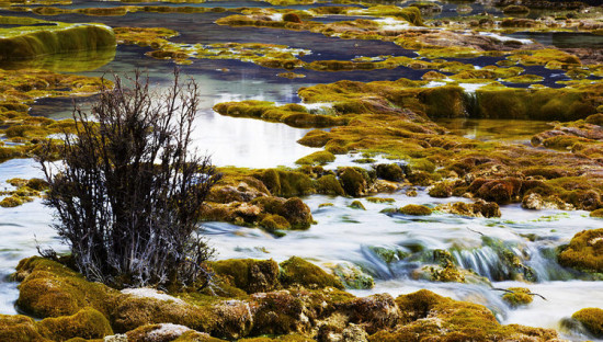 ���� Ȫ��̲-���ϵ���