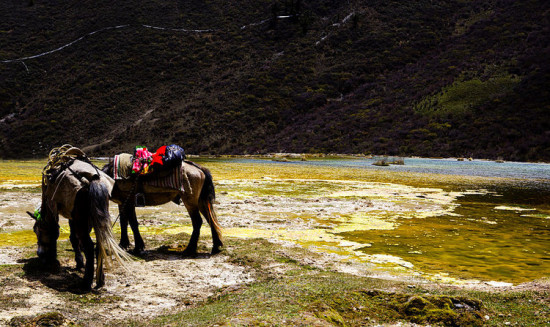 ���� Ȫ��̲-���ϵ���