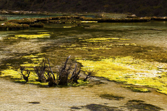 ���� Ȫ��̲-���ϵ���