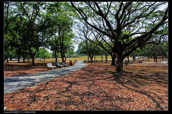 �¼��³��з��-������Ӱ