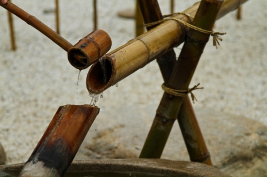 ��Щ����-������԰��-������Ӱ