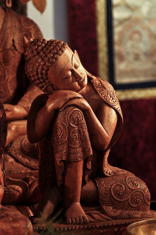 ��Щ����-������԰��-������Ӱ