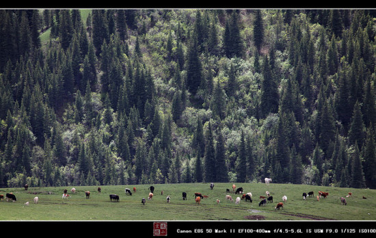 ̫��<span class=lxw>[ע: ̫������һ����ͨ�ĺ��ǣ���һ������Ϊ.989X1030��ǧ��  (ԼΪ����������33��)��ֱ��139.2��km��ԼΪ����ֱ����109�����������壨�ϸ�˵�ǵ������壩��]</span>����-��Ȼ�羰