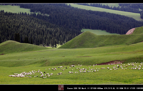 ̫������-��Ȼ�羰