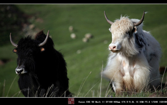 ̫������-��Ȼ�羰