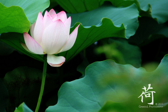 ��.�󞳺�-ֲ�ﻨ��