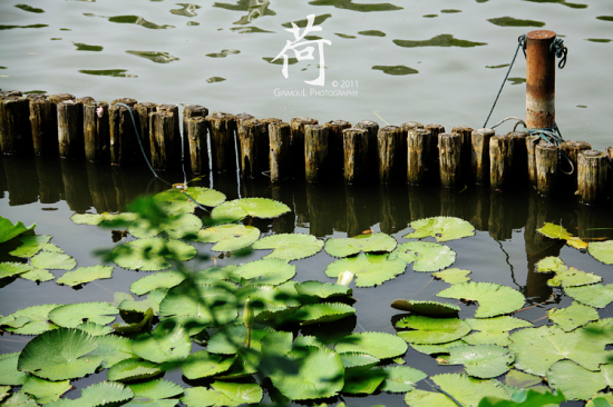 ��.�󞳺�-ֲ�ﻨ��